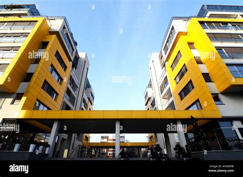 Yellow BLD